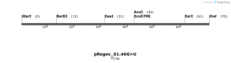 396421_map