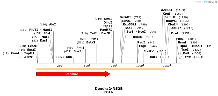 396435_map