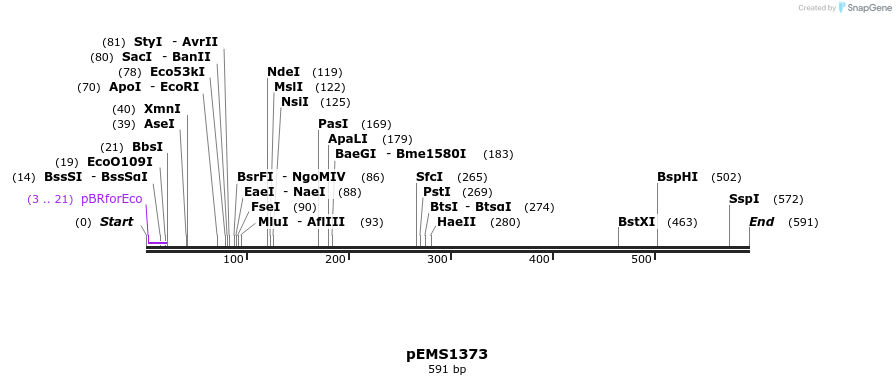 39646_map