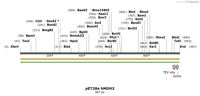 396477_map