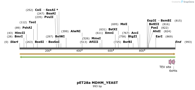 396479_map