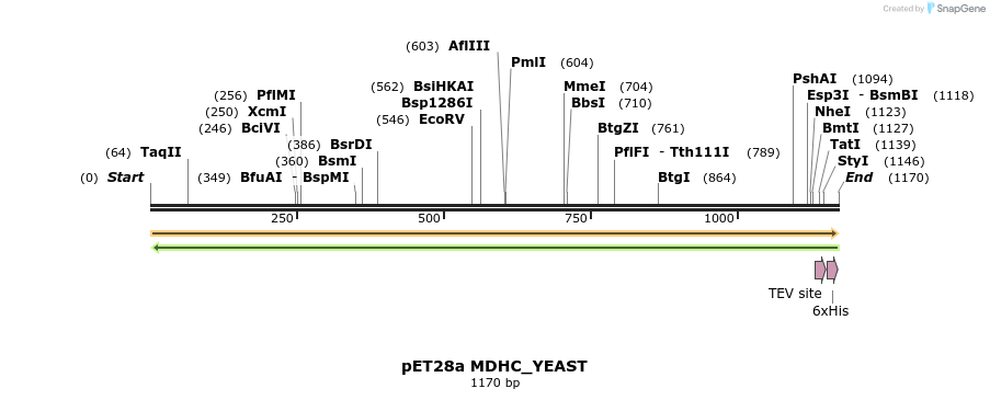 396481_map