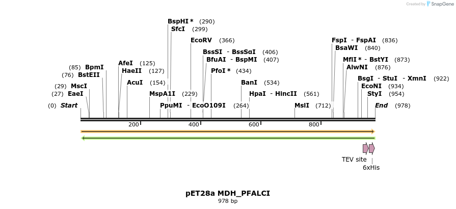 396487_map