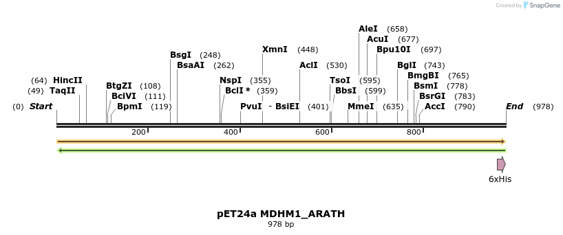 396489_map