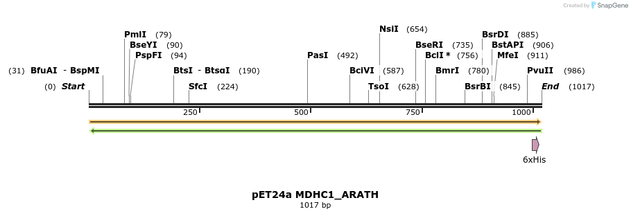 396491_map