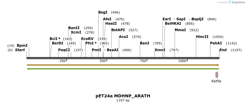 396493_map