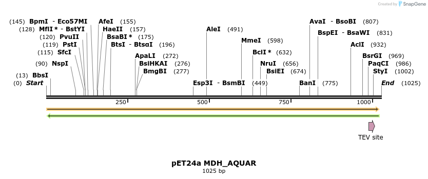 396495_map