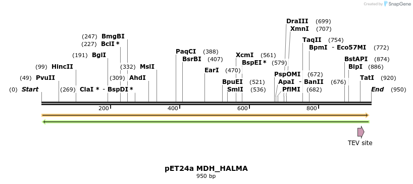 396499_map