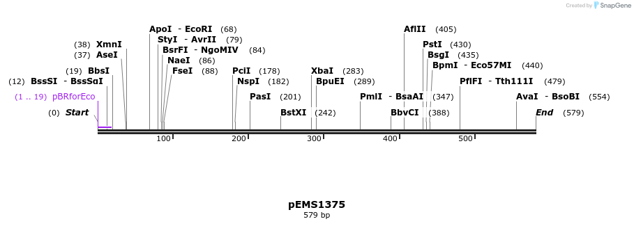 39650_map