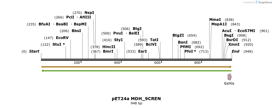 396503_map