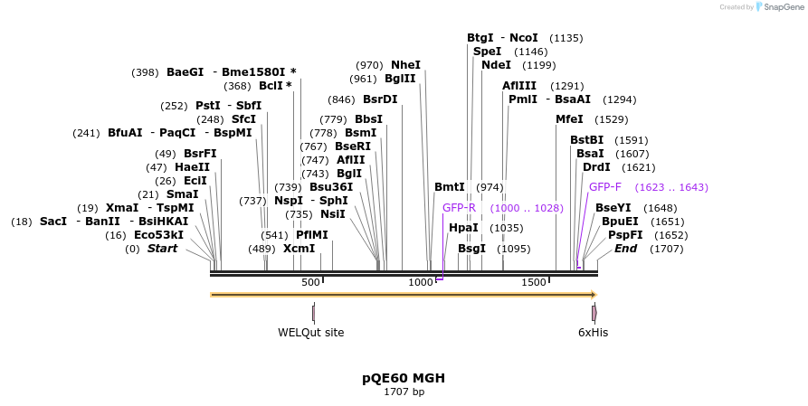 396505_map