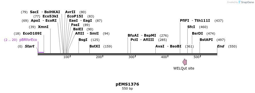 39651_map