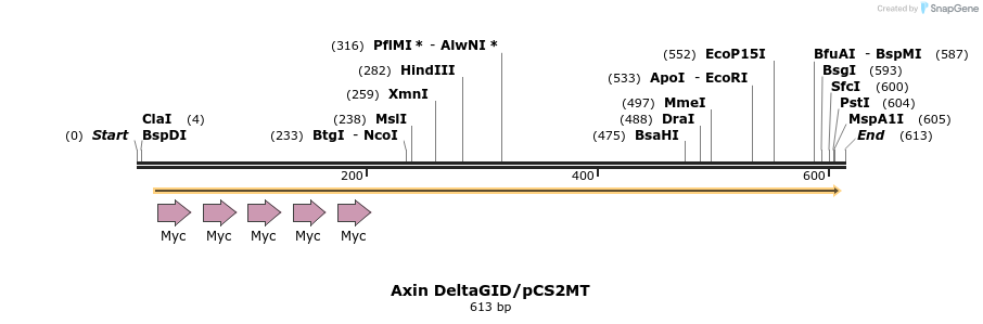 39663_map