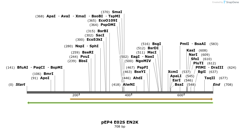 39664_map