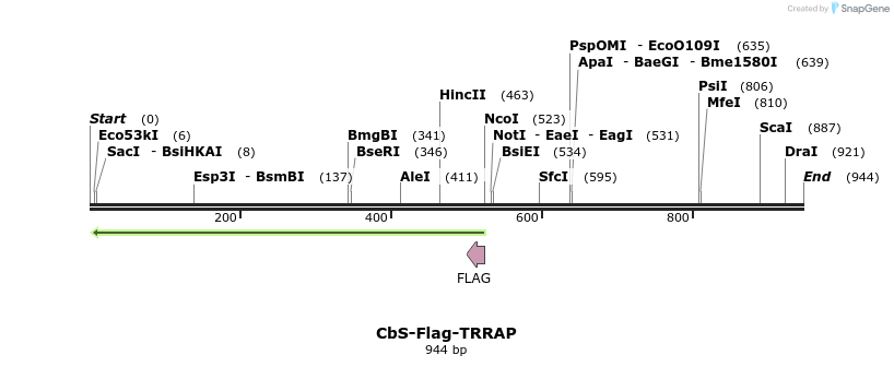39669_map