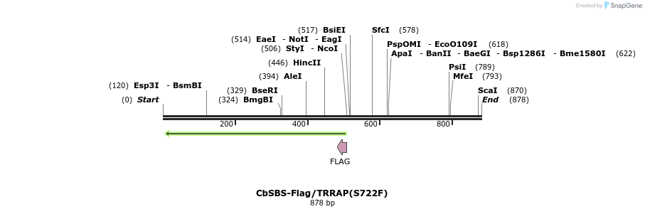 39670_map