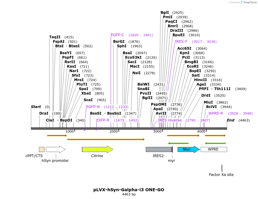 396726_map