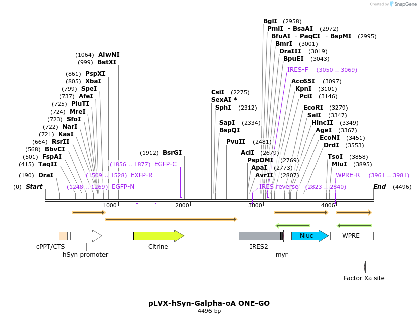396727_map