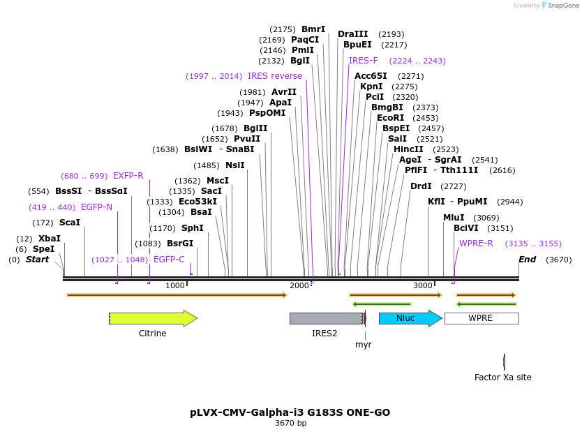 396730_map