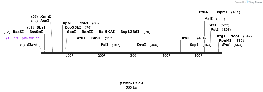 39675_map
