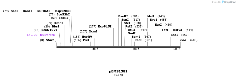 39676_map