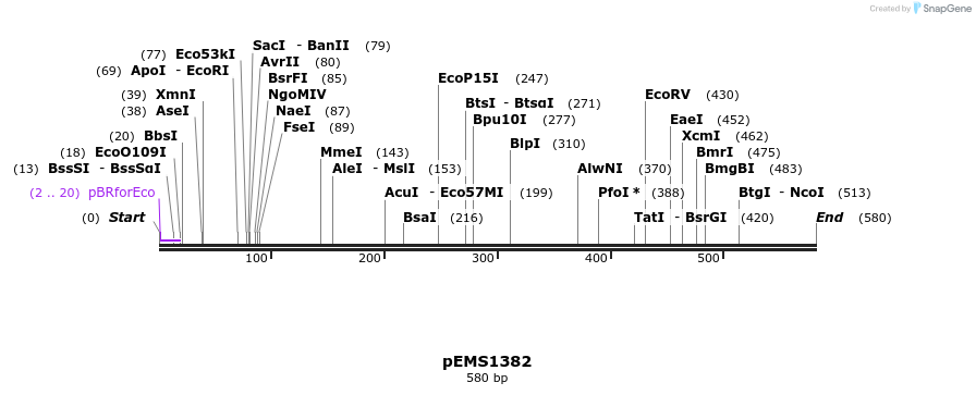 39677_map