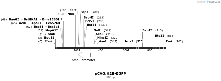 39700_map
