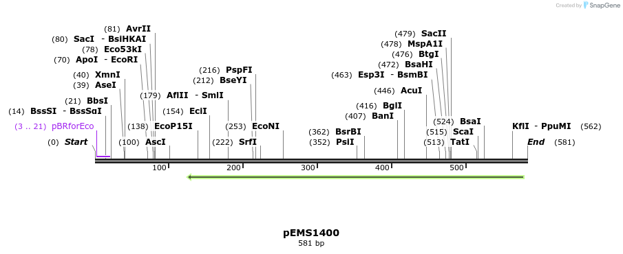 39703_map