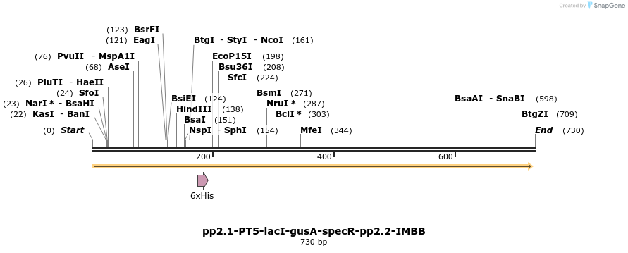 39705_map