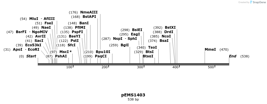 39707_map