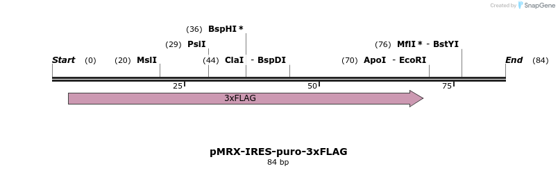397096_map