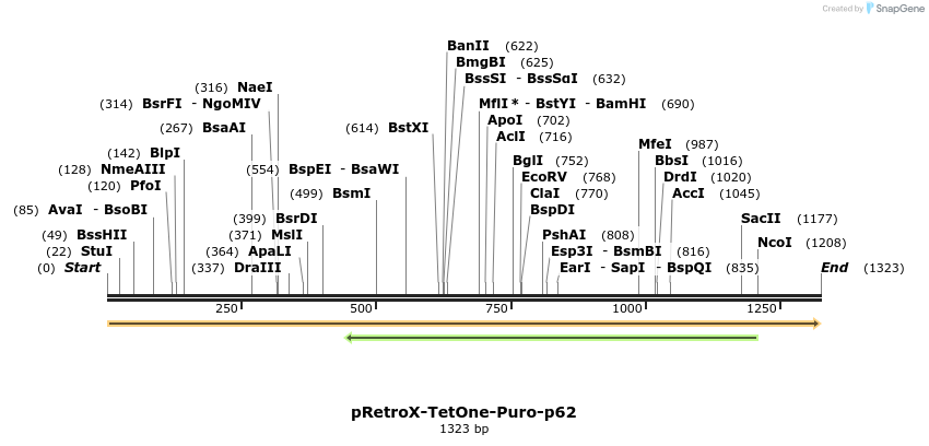 397099_map