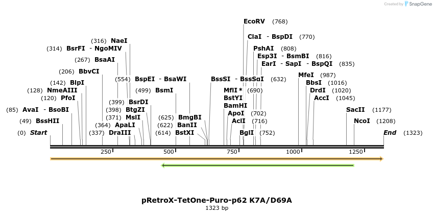397100_map