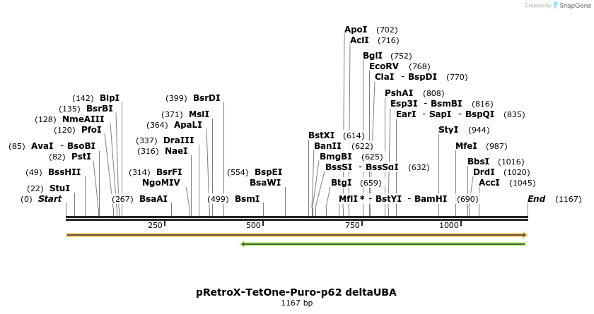 397101_map