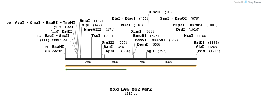 397103_map