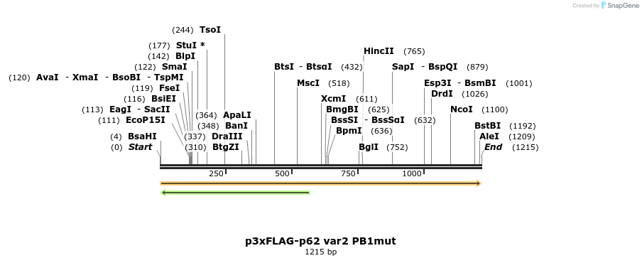 397105_map