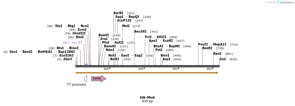 39720_map