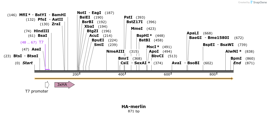 39721_map