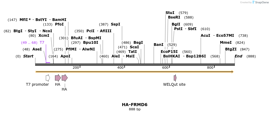 39722_map