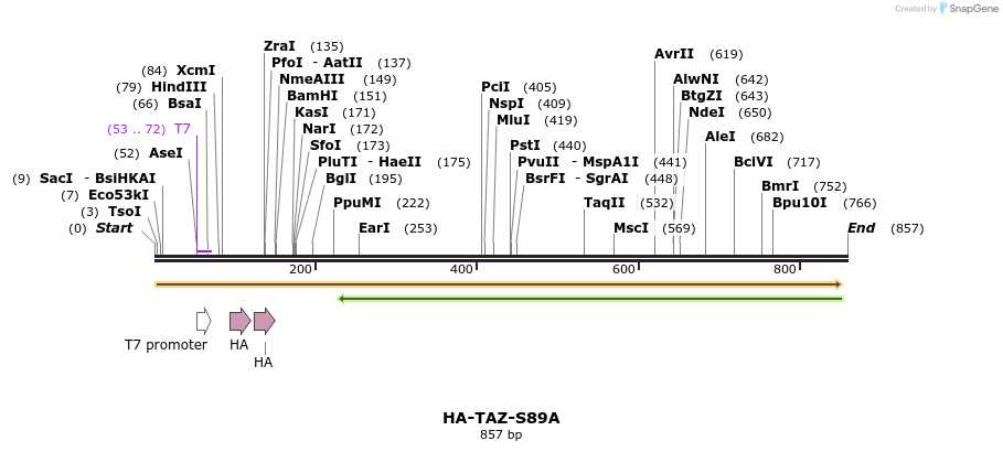 39725_map