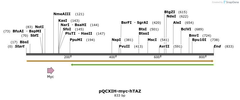 39726_map
