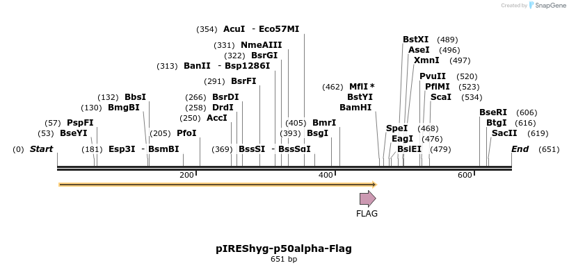 39729_map