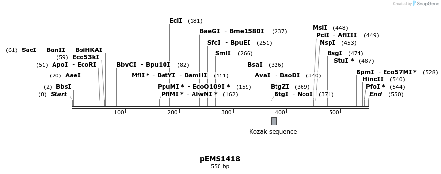39731_map