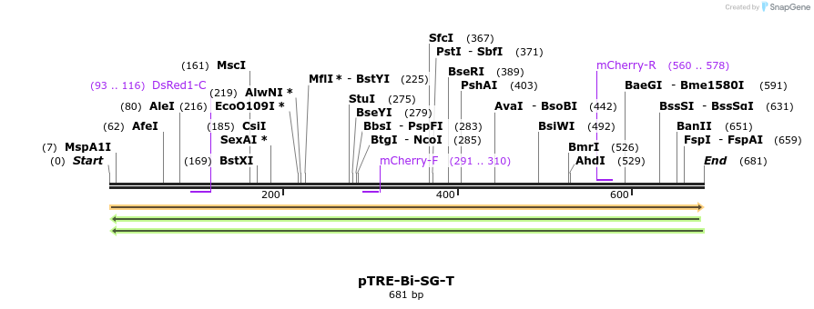 39732_map