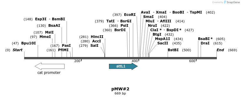 39733_map