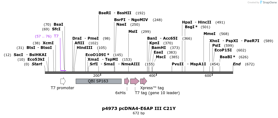39735_map