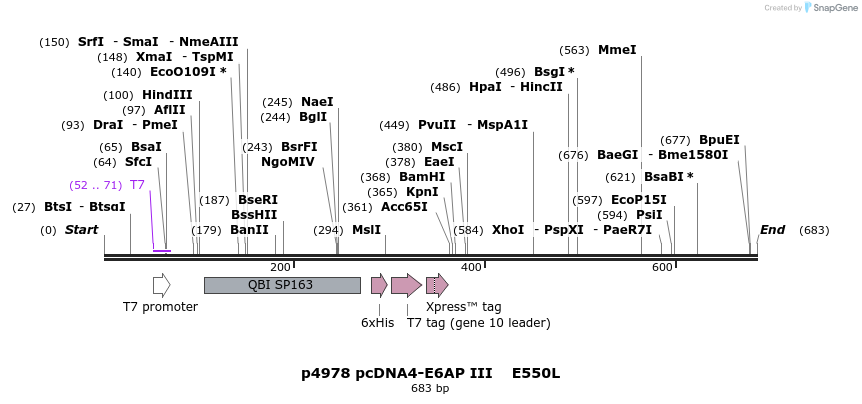 39736_map