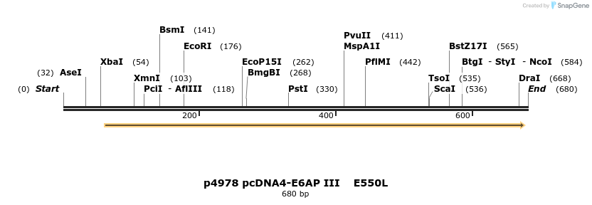 39737_map