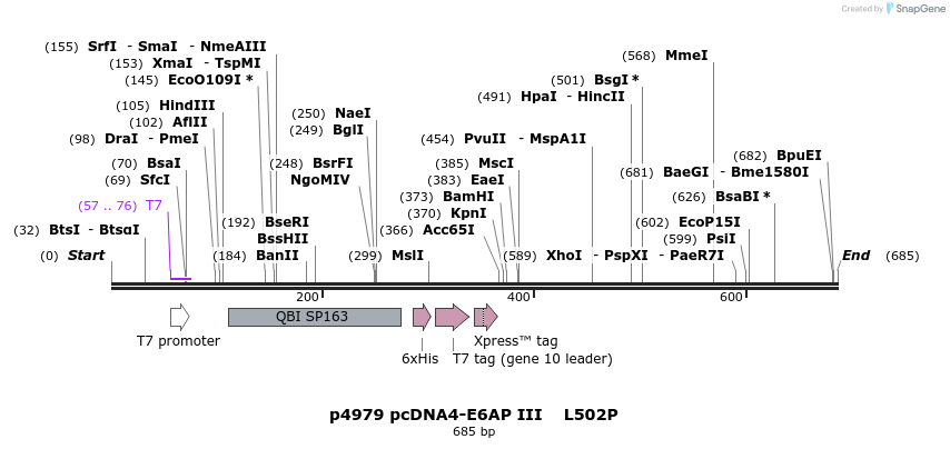 39738_map