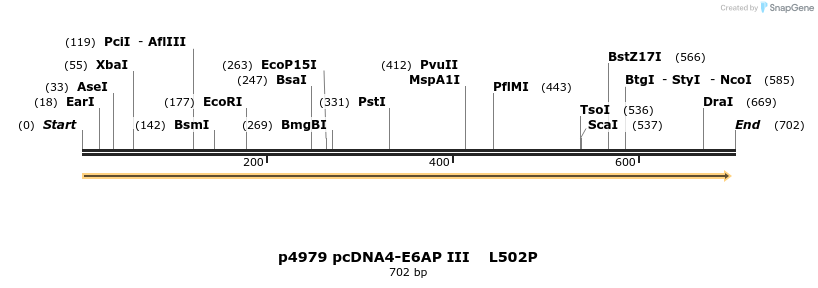 39739_map